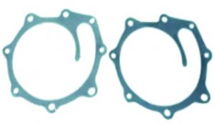 Gasket Water Pump (Set Of Two)